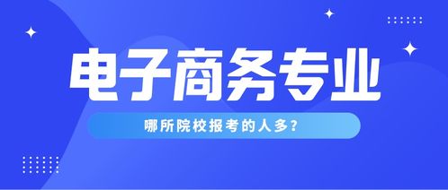 新疆电子商务是啥类专业
