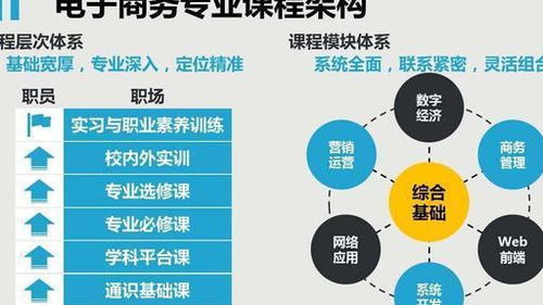 中专电子商务哪个专业好