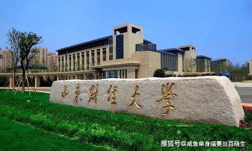 山东大学的电子商务专业
